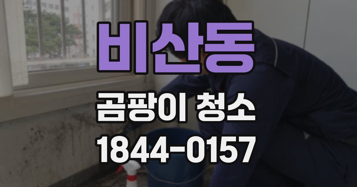 비산동 곰팡이 청소