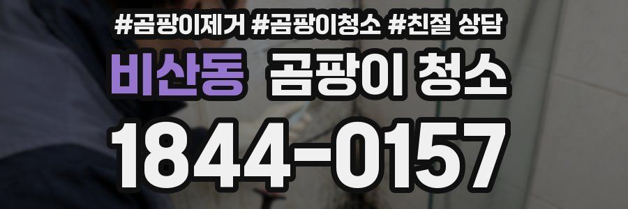 비산동 곰팡이 청소
