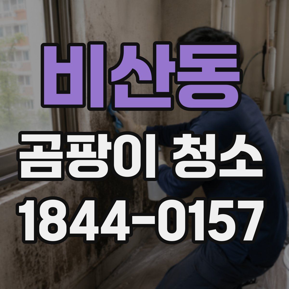 비산동 곰팡이 청소