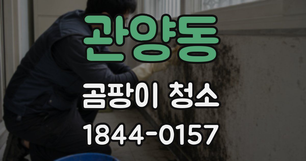 관양동 곰팡이 청소