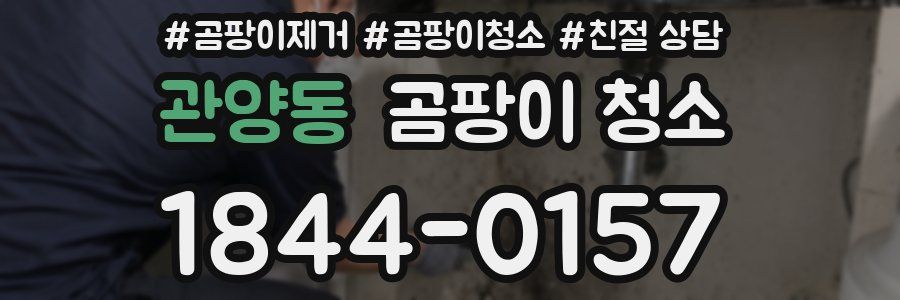 관양동 곰팡이 청소