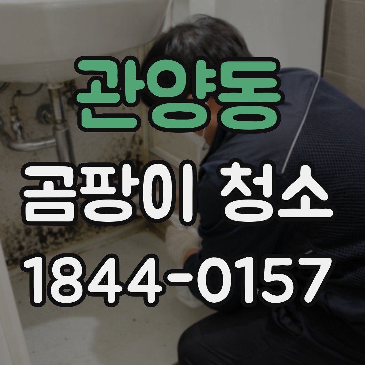 관양동 곰팡이 청소