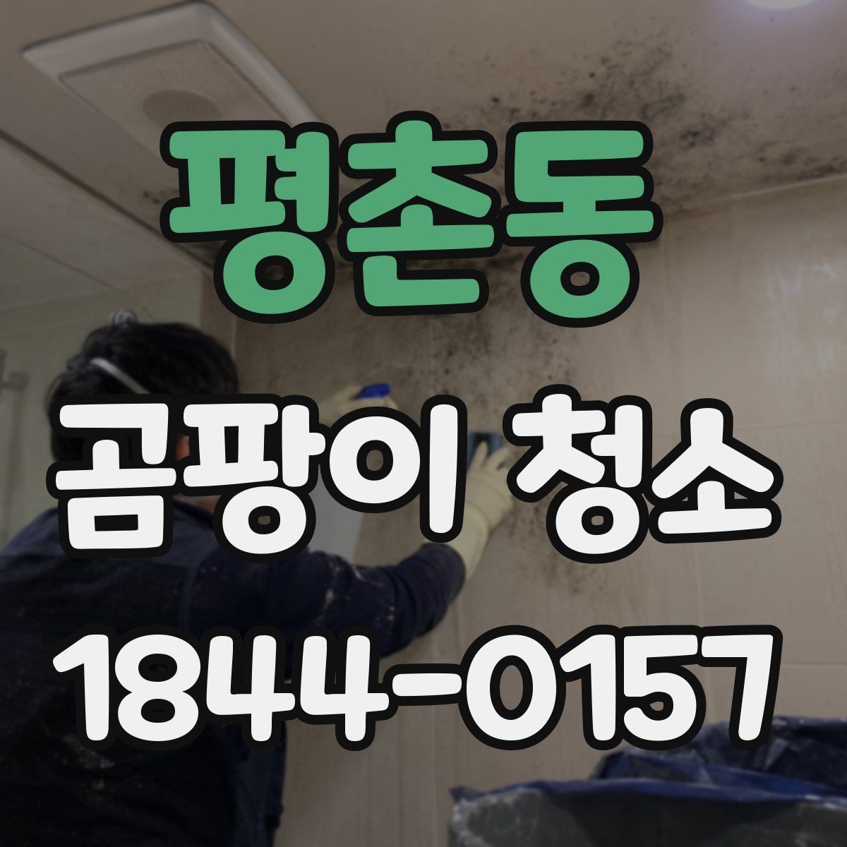 평촌동 곰팡이 청소 진행 전 확인할 점