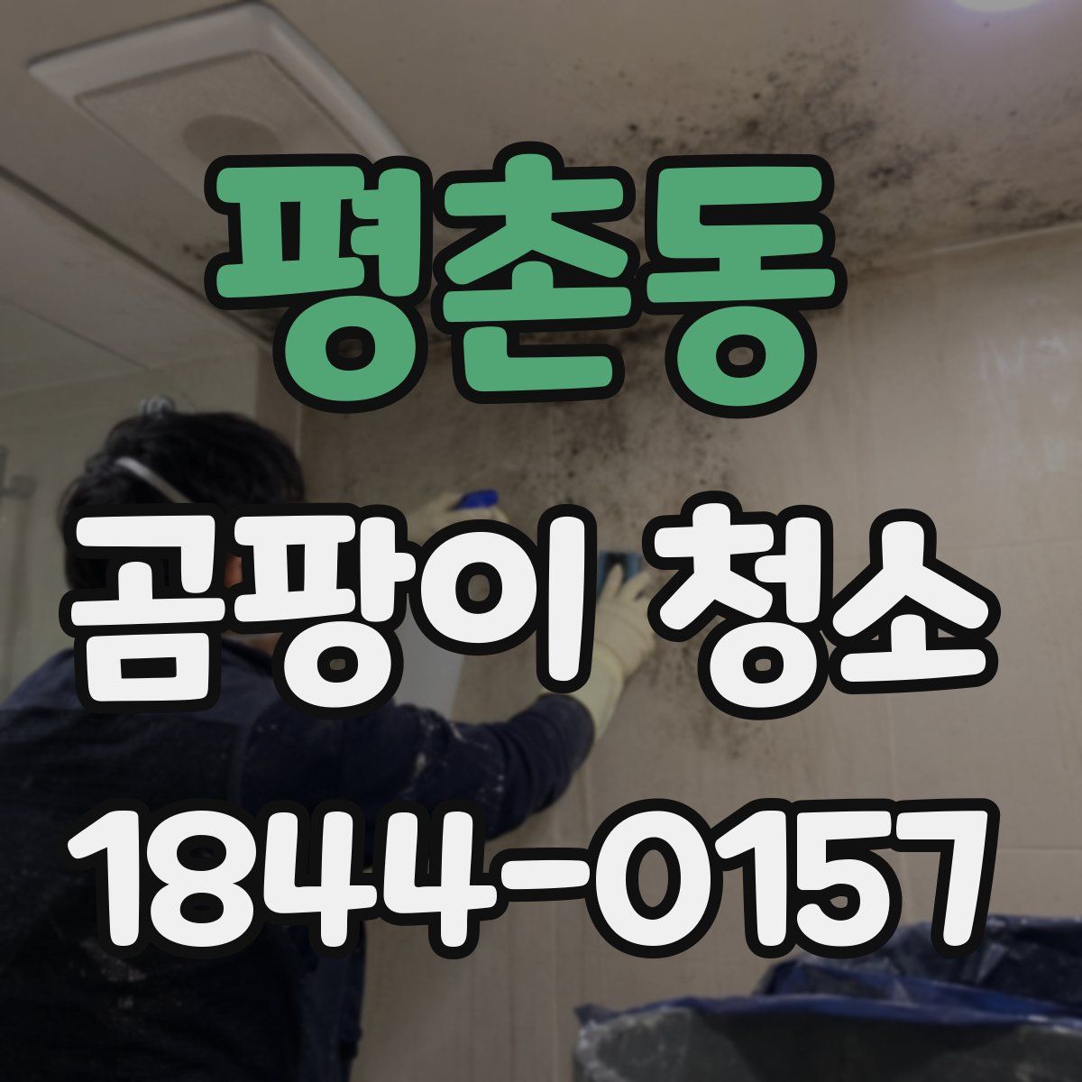 평촌동 곰팡이 청소