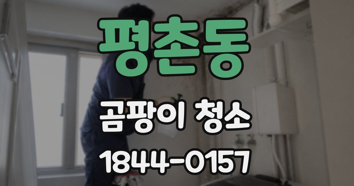 평촌동 곰팡이 청소