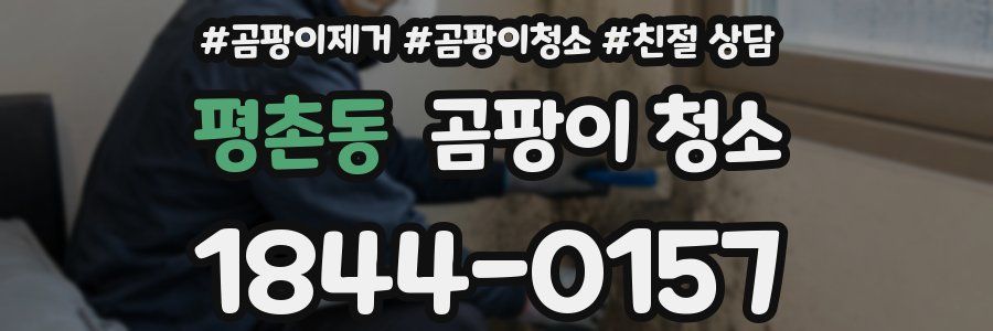 평촌동 곰팡이 청소