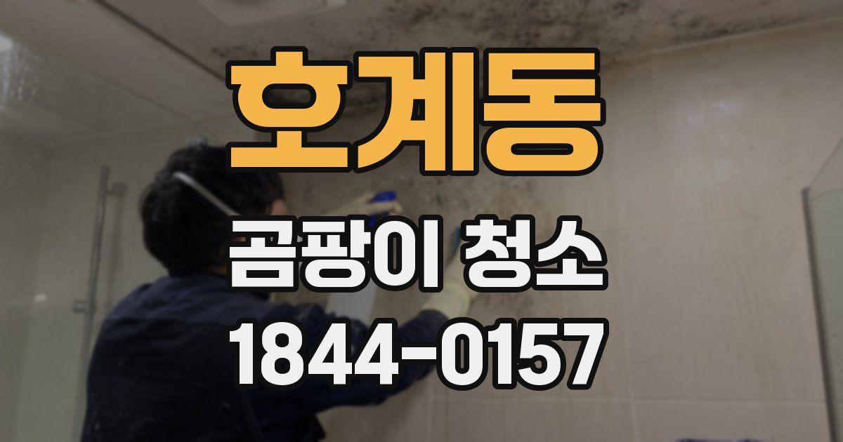 호계동 곰팡이 청소