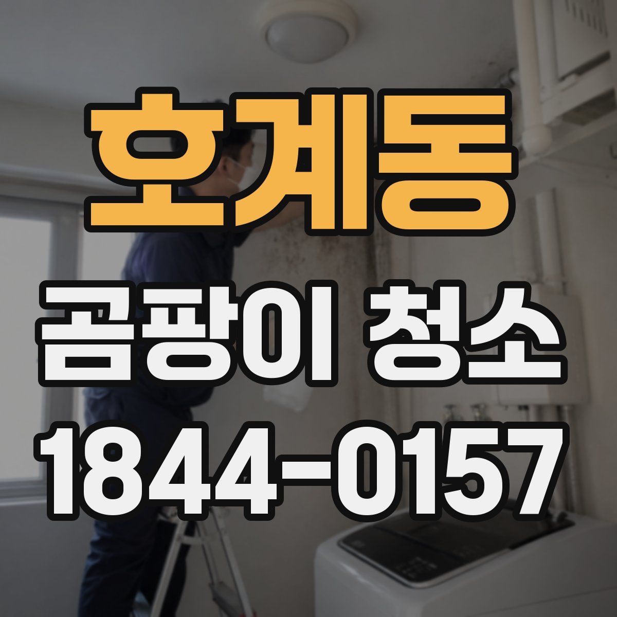 호계동 곰팡이 청소