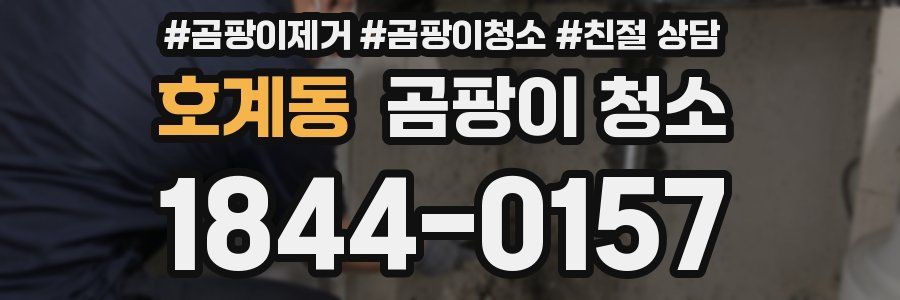 호계동 곰팡이 청소