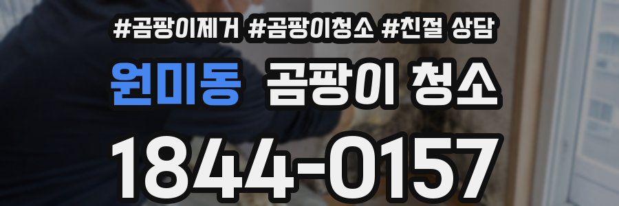 원미동 곰팡이 청소