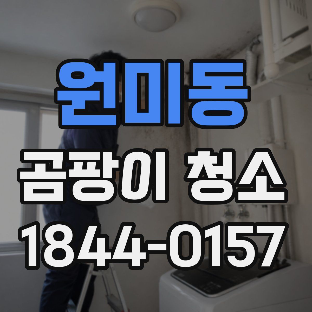 원미동 곰팡이 청소