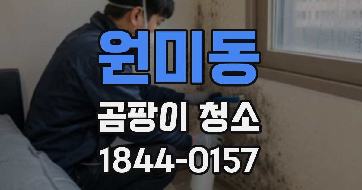 원미동 곰팡이 청소