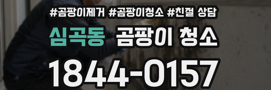 심곡동 곰팡이 청소