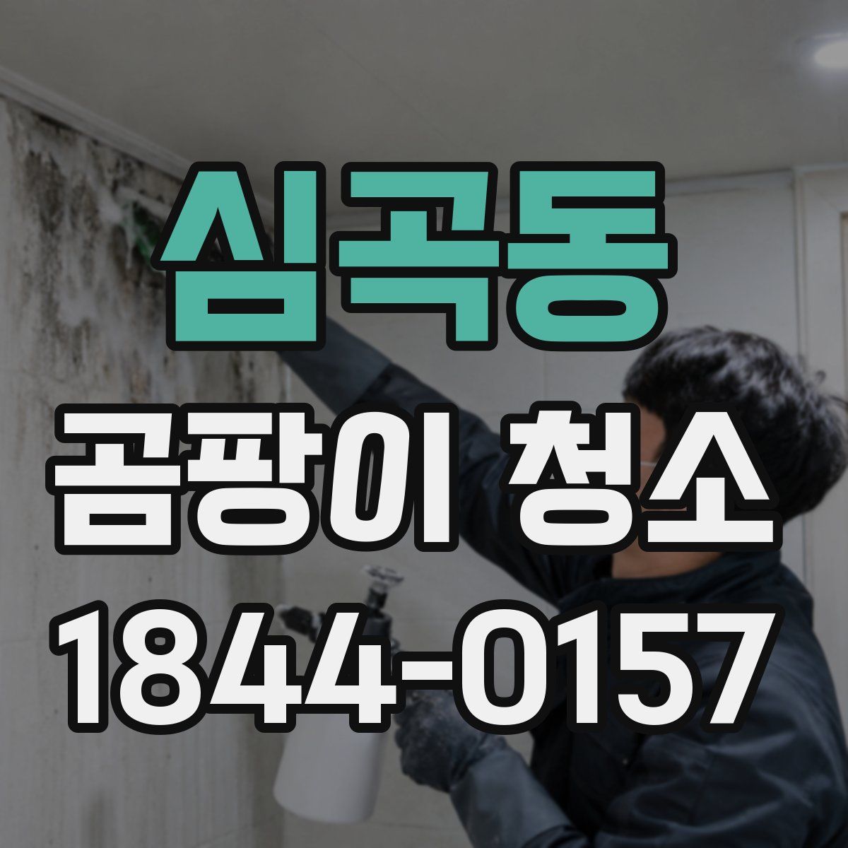 심곡동 곰팡이 청소