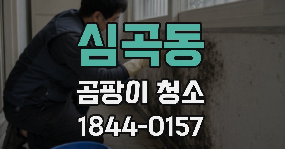 심곡동 곰팡이 청소