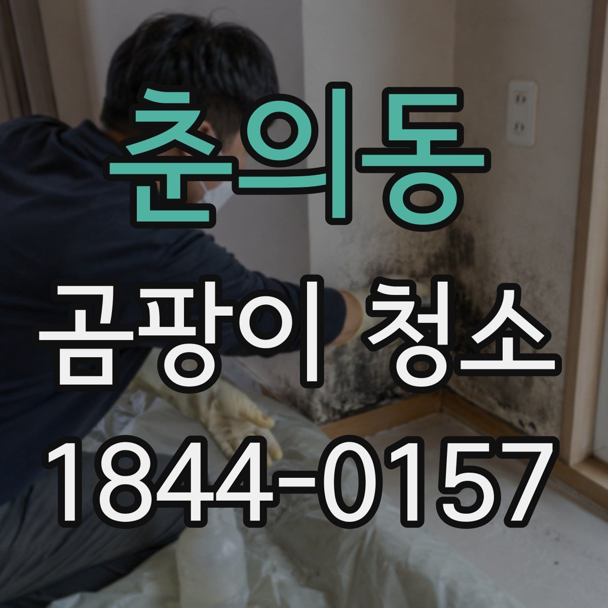 춘의동 곰팡이 청소
