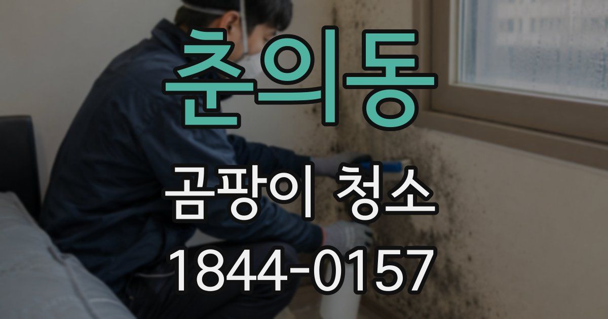 춘의동 곰팡이 청소