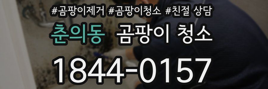 춘의동 곰팡이 청소
