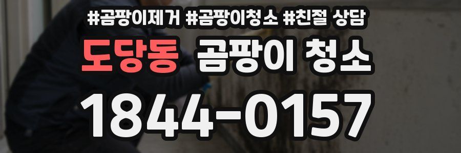 도당동 곰팡이 청소