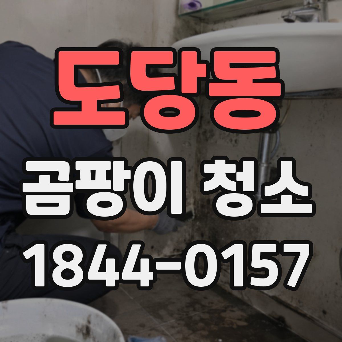 도당동 곰팡이 청소