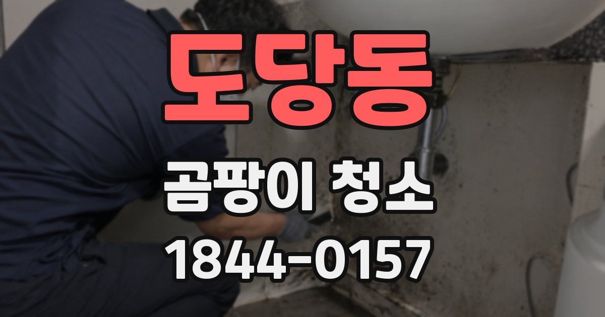 도당동 곰팡이 청소