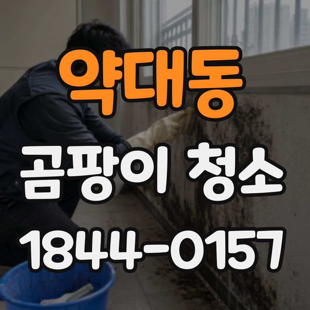 약대동 곰팡이 청소