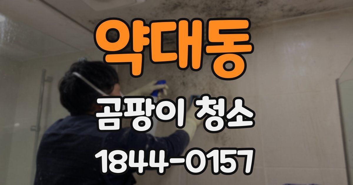 약대동 곰팡이 청소