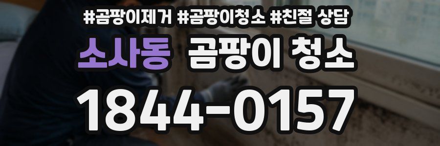 소사동 곰팡이 청소