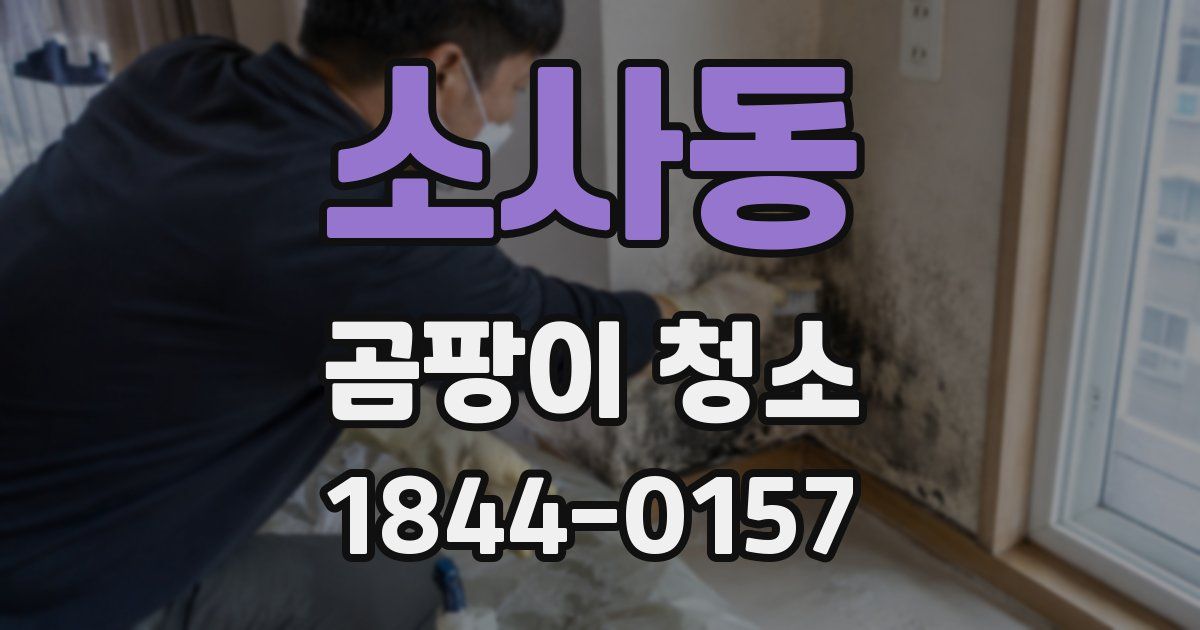 소사동 곰팡이 청소