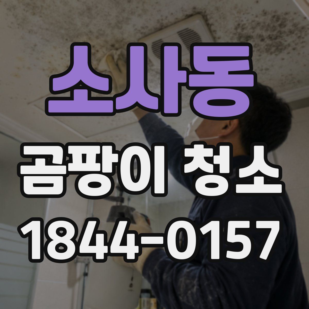 소사동 곰팡이 청소