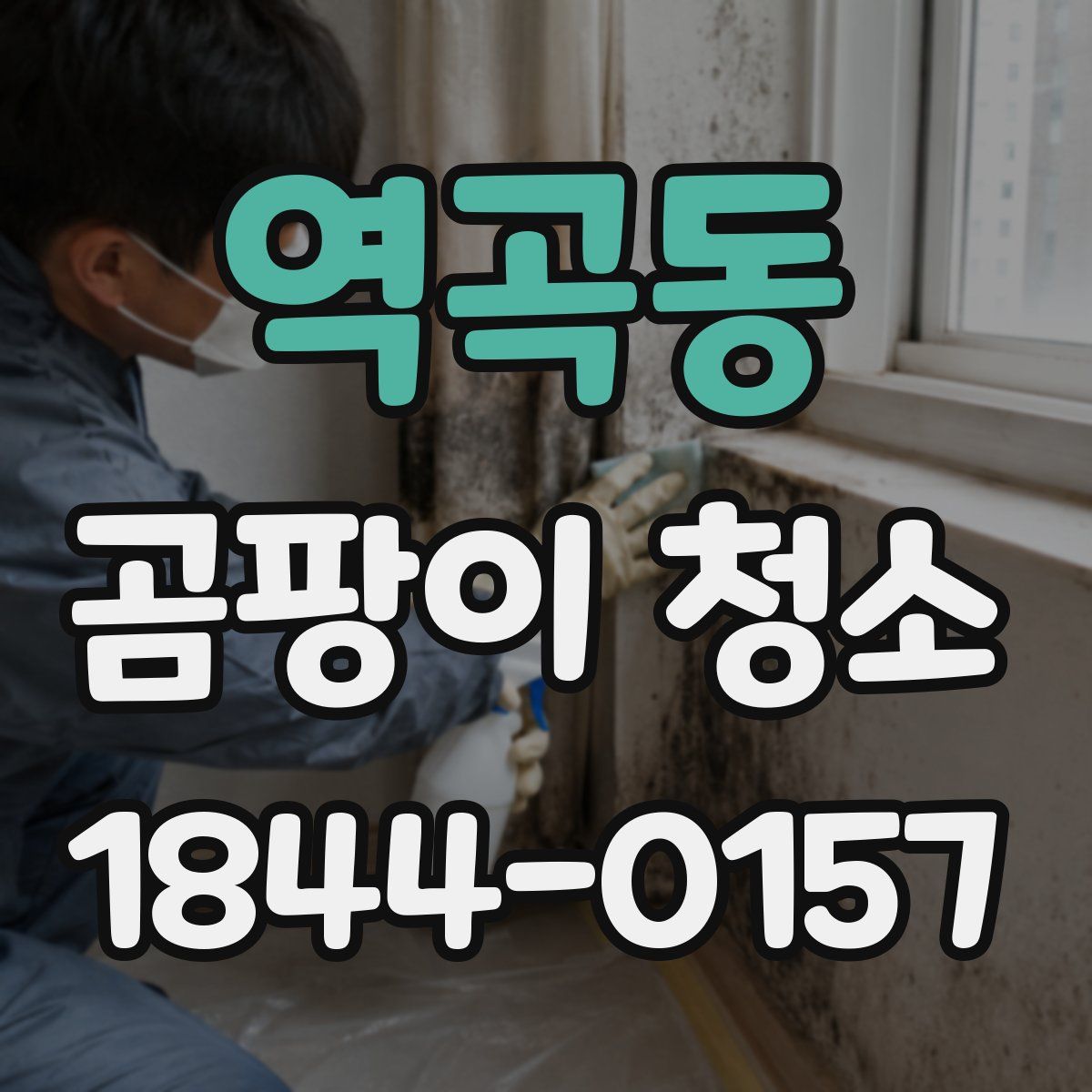 역곡동 곰팡이 청소