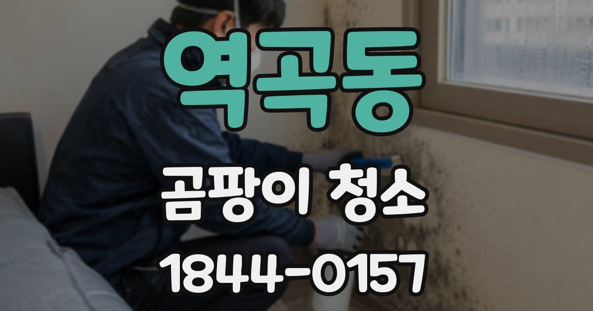 역곡동 곰팡이 청소