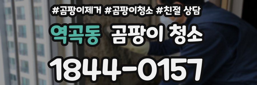 역곡동 곰팡이 청소