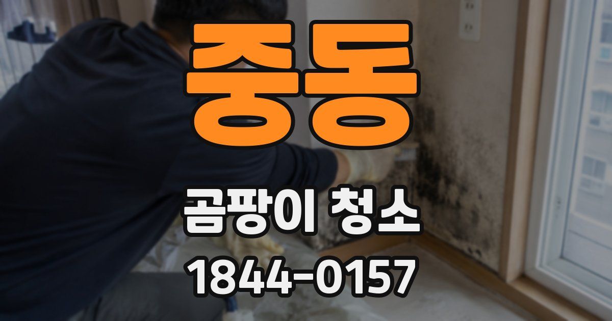 중동 곰팡이 청소