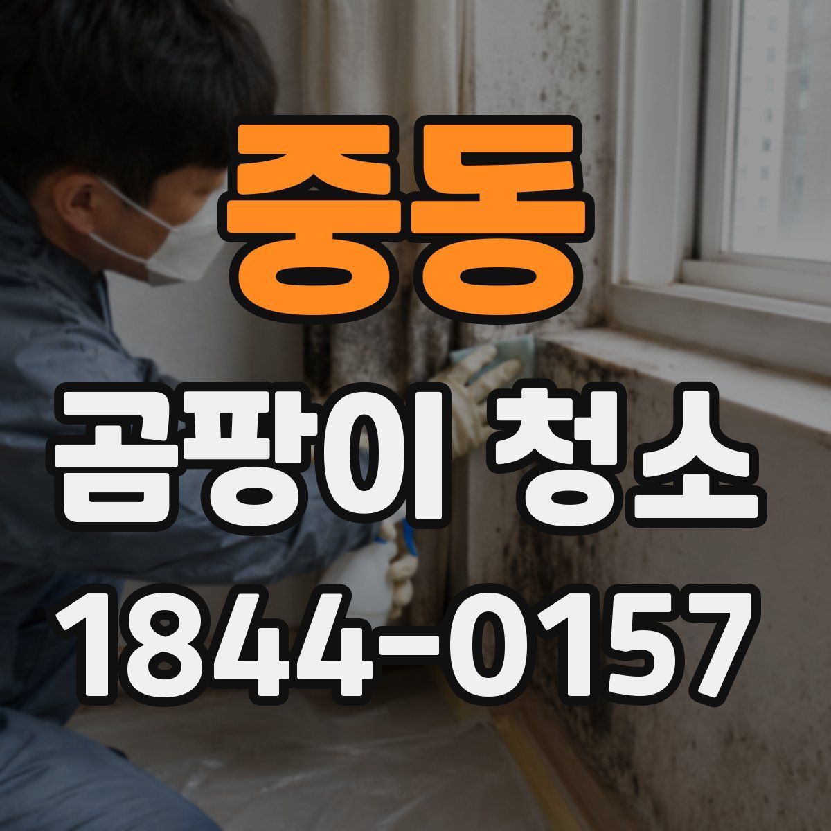 중동 곰팡이 청소