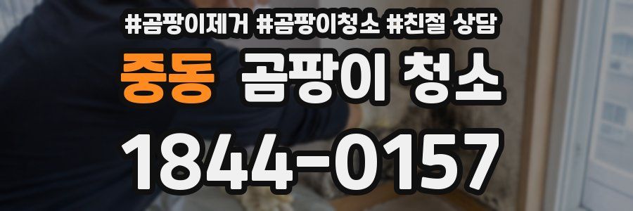 중동 곰팡이 청소