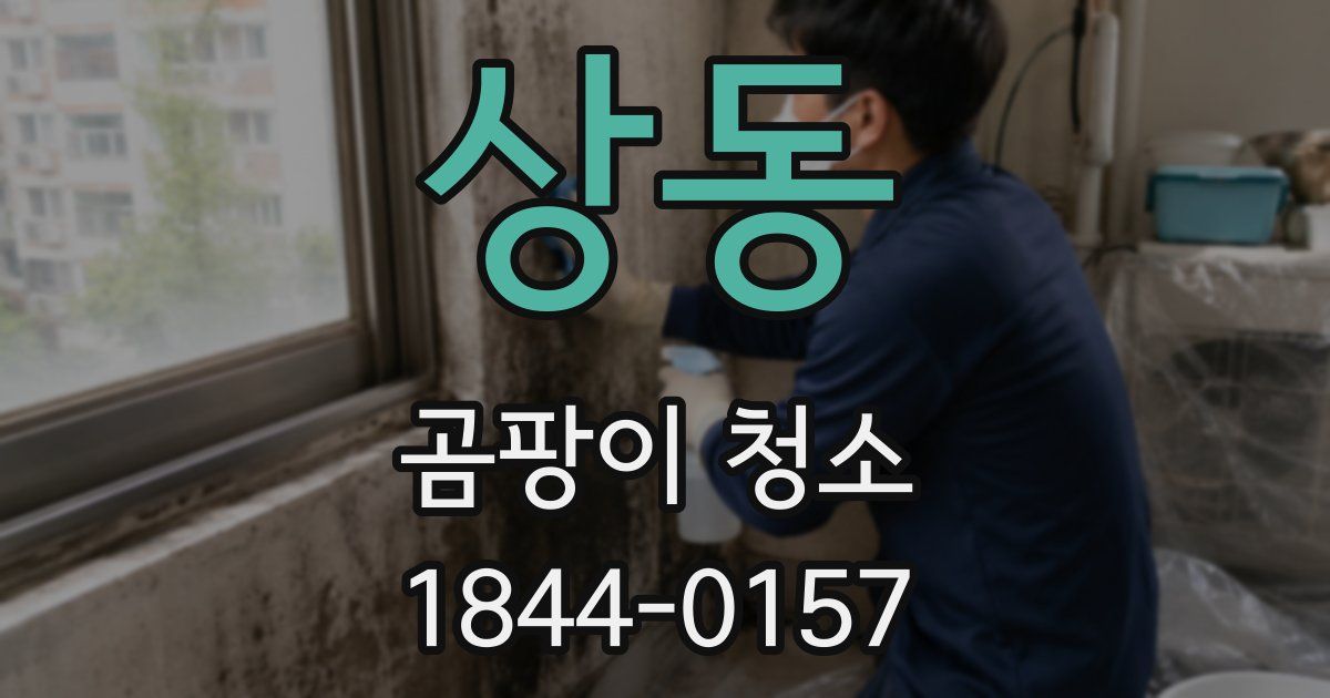 상동 곰팡이 청소