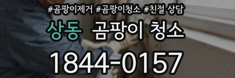 상동 곰팡이 청소