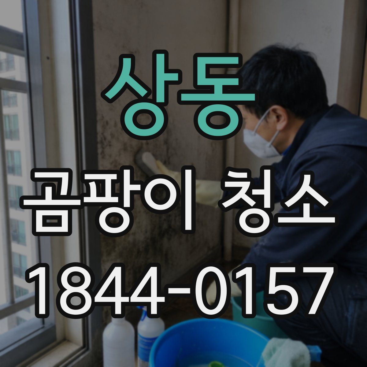 상동 곰팡이 청소