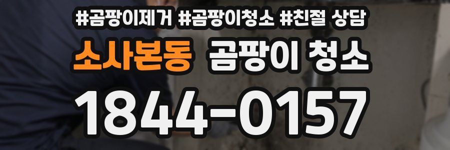 소사본동 곰팡이 청소