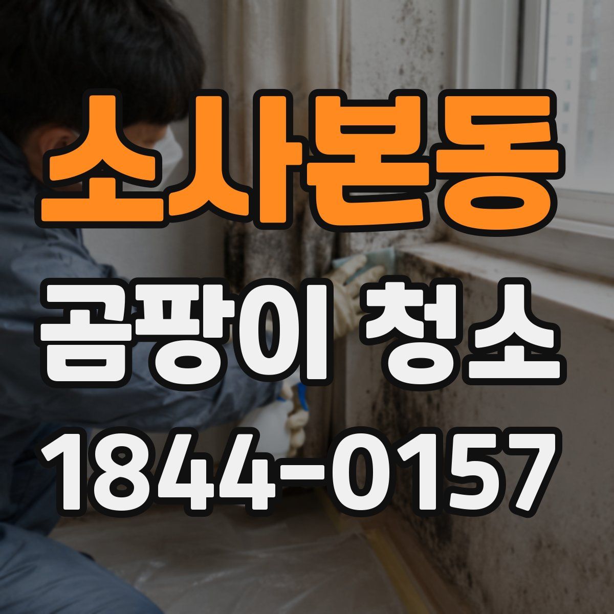 소사본동 곰팡이 청소