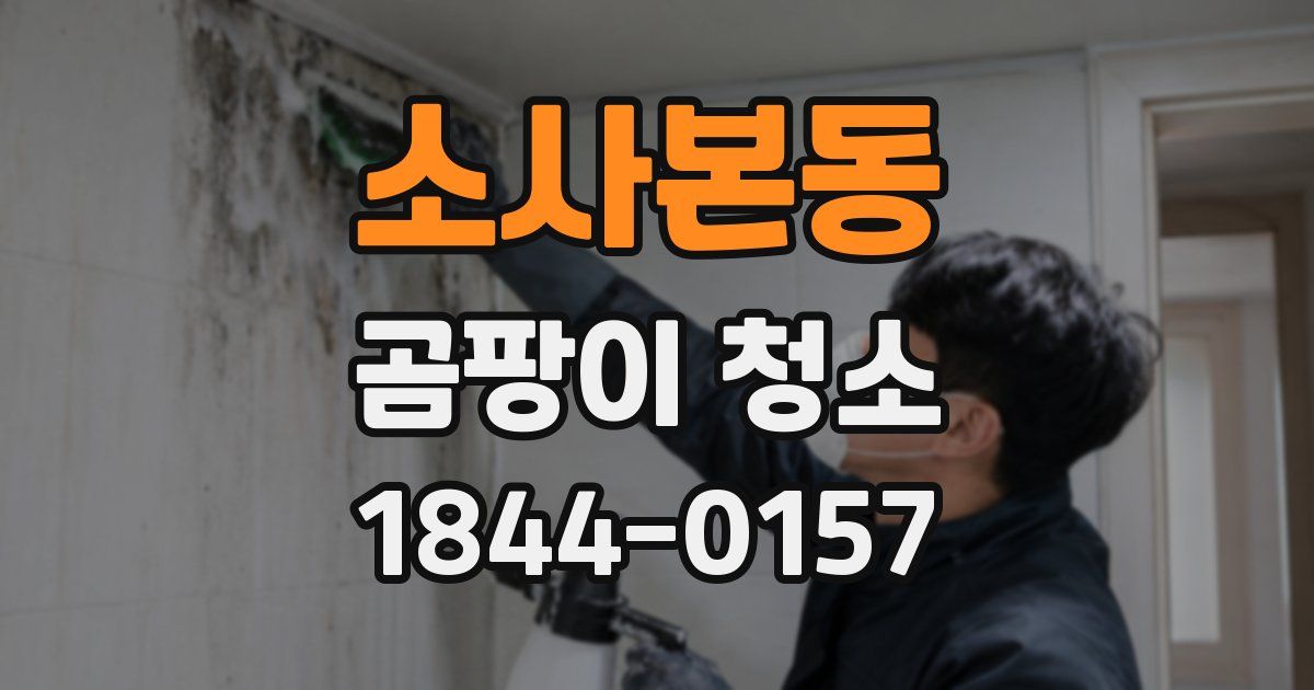 소사본동 곰팡이 청소