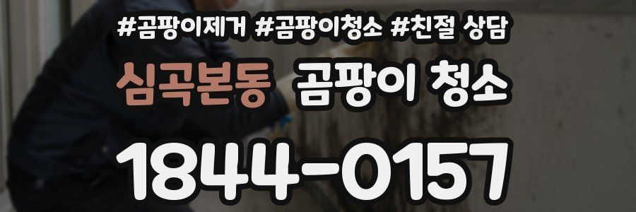 심곡본동 곰팡이 청소