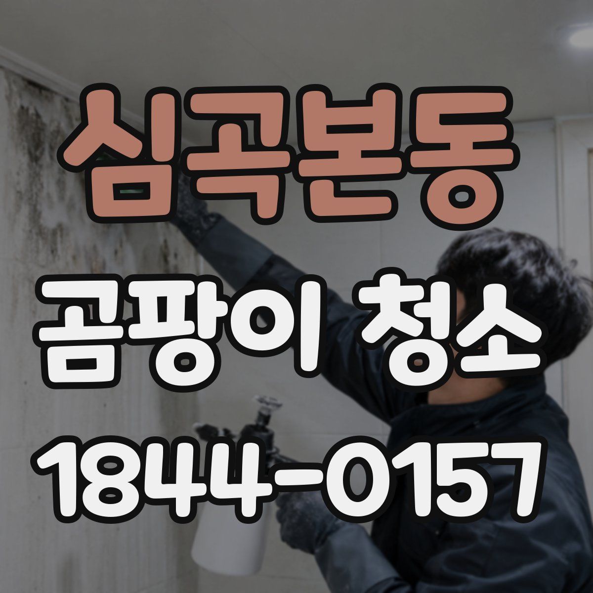 심곡본동 곰팡이 청소