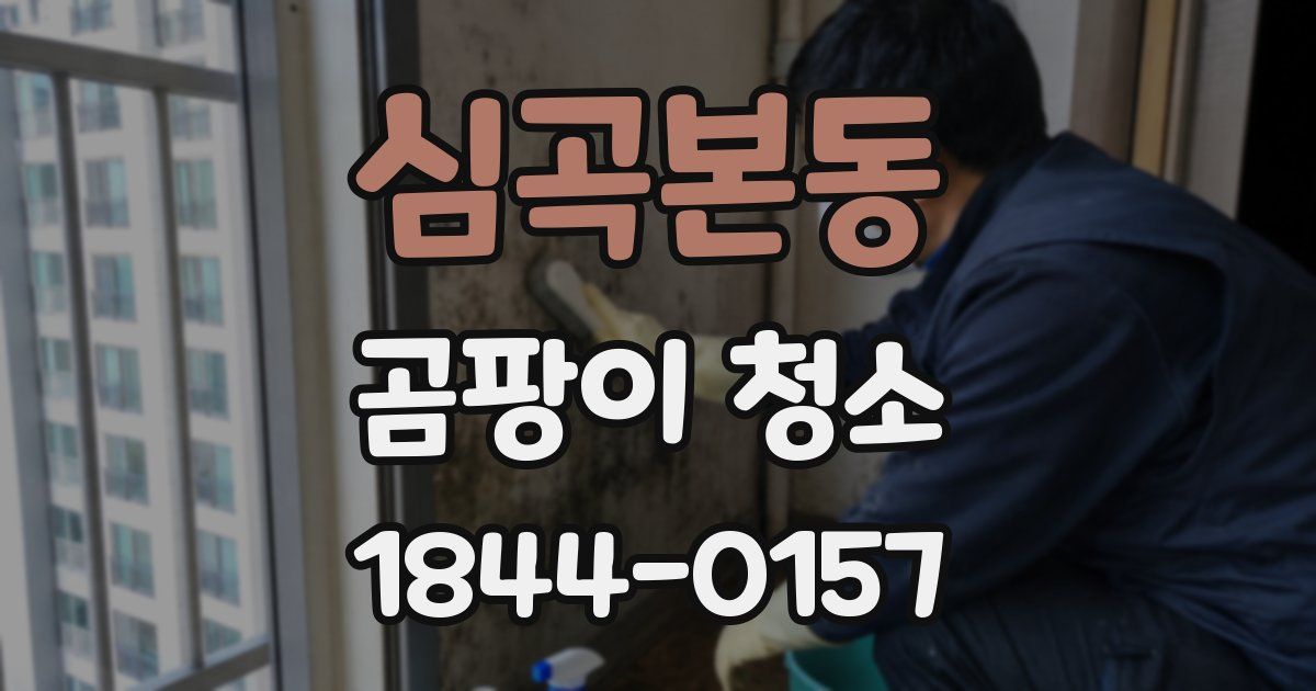 심곡본동 곰팡이 청소