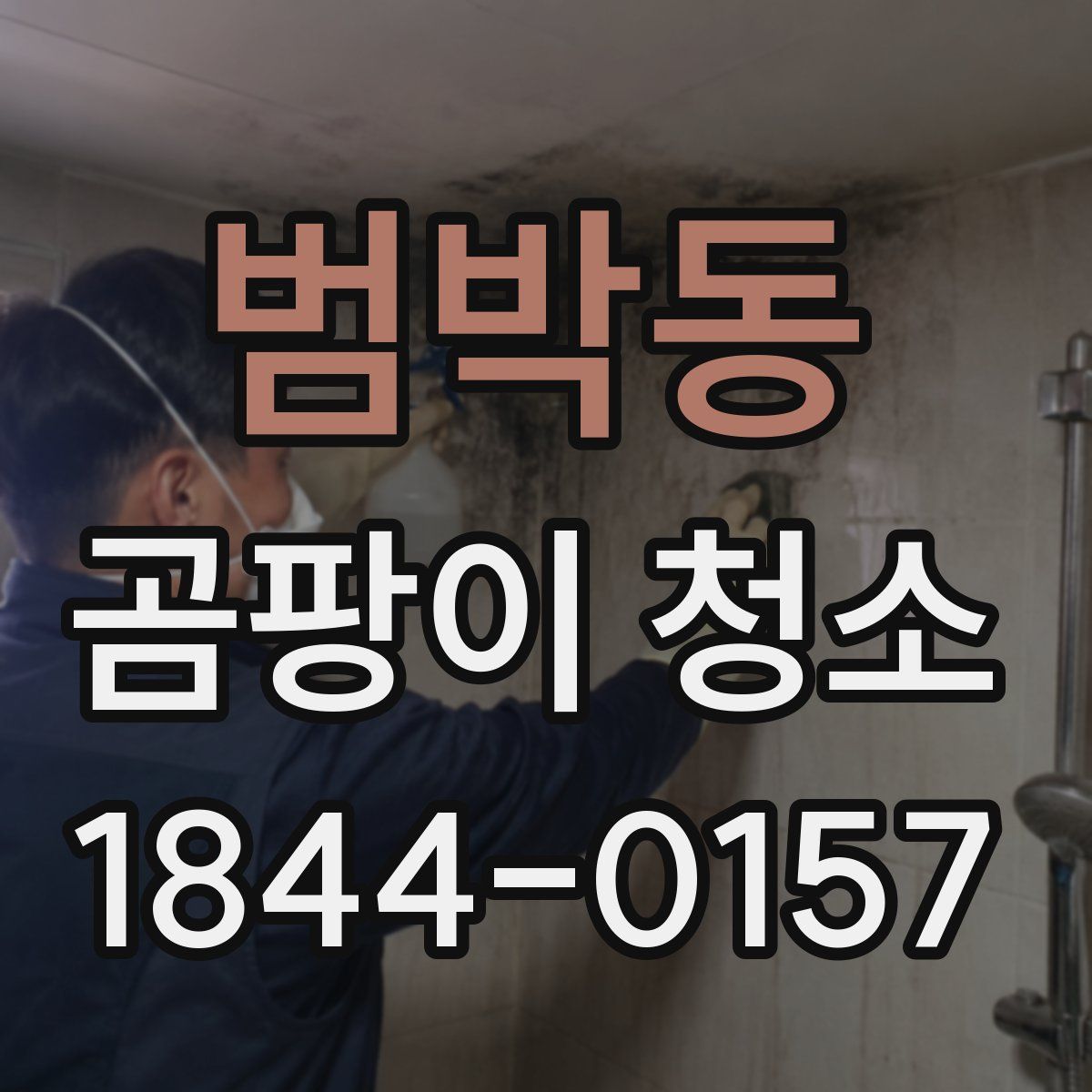 범박동 곰팡이 청소
