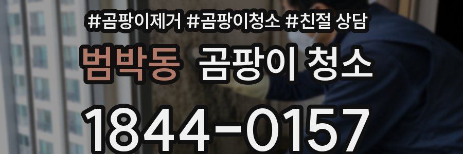 범박동 곰팡이 청소