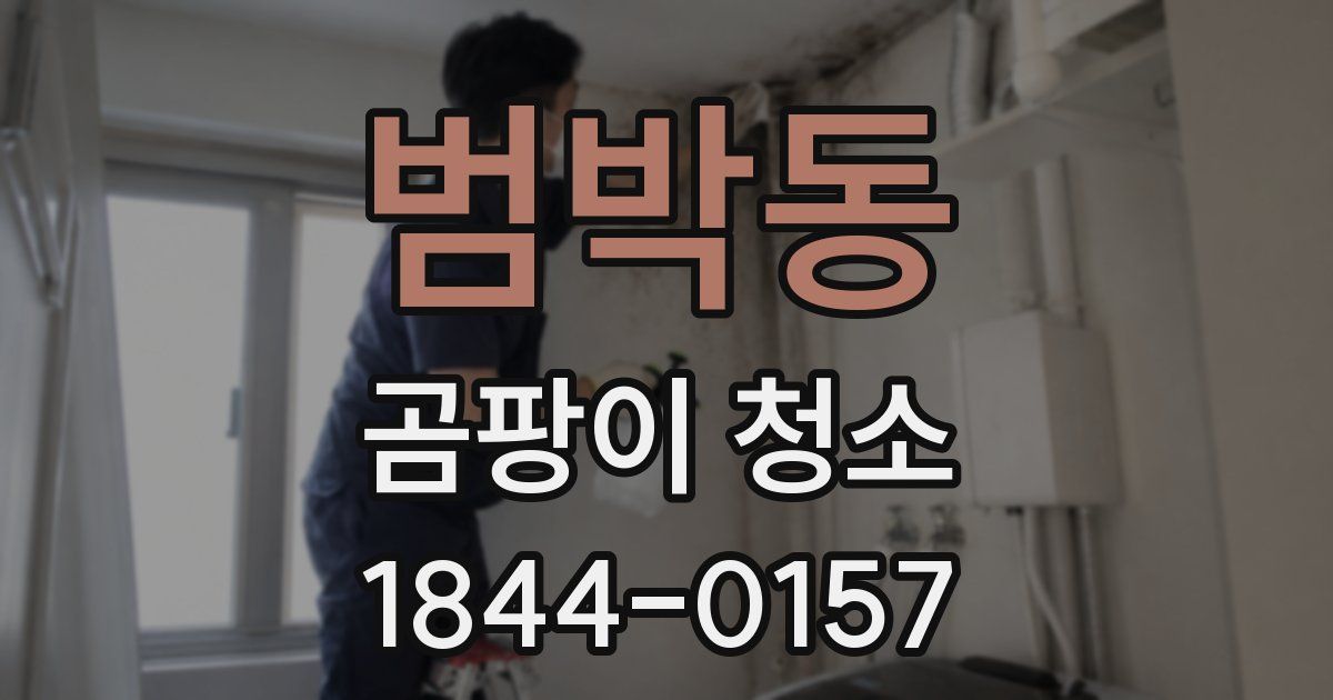범박동 곰팡이 청소