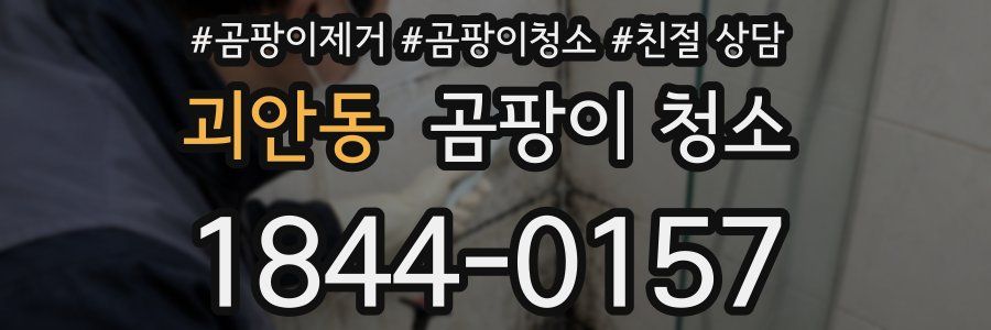 괴안동 곰팡이 청소