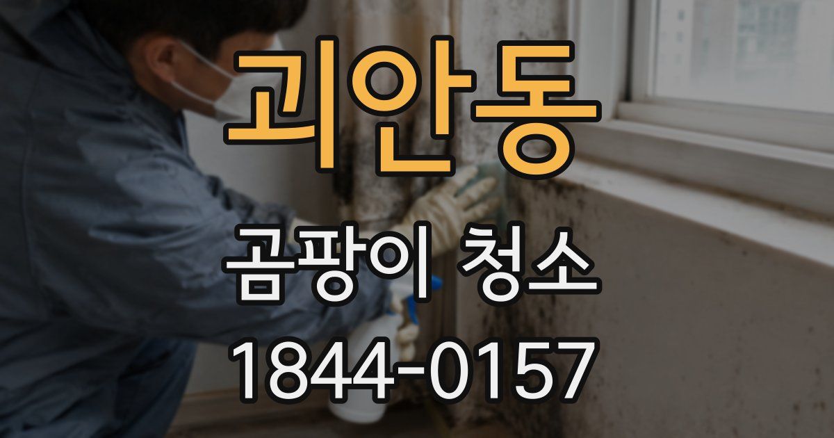 괴안동 곰팡이 청소